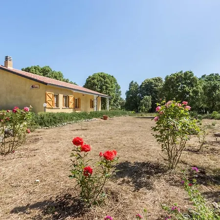 Su Pitiolu - Bed & Breakfast *