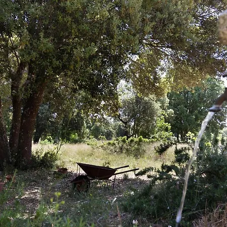 Su Pitiolu - * Laconi