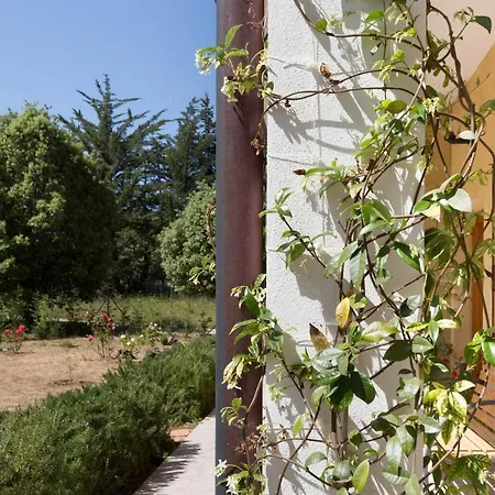 Bed & Breakfast Su Pitiolu -